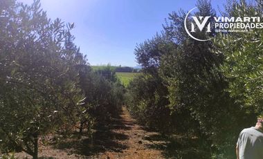 VENTA  HERMOSO CAMPO 20000MTS EL TAMBO