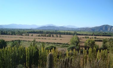 VENTA  HERMOSO CAMPO 20000MTS EL TAMBO