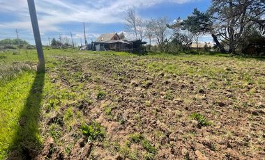 VENDE PARCELA CON CASA SECTOR LOS GOMEROS, PELARCO