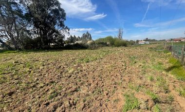 VENDE PARCELA CON CASA SECTOR LOS GOMEROS, PELARCO