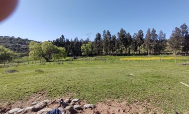 VENTA PARCELA 5000MTS San Clemente