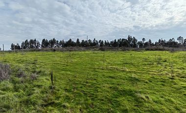 VENTA PARCELA 5000MTS San Clemente