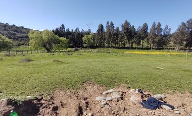 VENTA PARCELA 5000MTS San Clemente