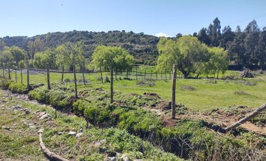VENTA PARCELA 5000MTS San Clemente