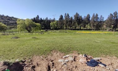VENTA PARCELA 5000MTS San Clemente
