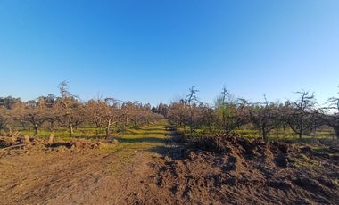 VENTA DE PARCELAS DE AGRADO MOLINA-MAULE