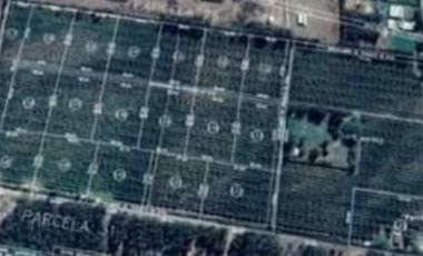 VENTA DE PARCELAS DE AGRADO MOLINA-MAULE