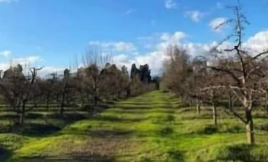 VENTA DE PARCELAS DE AGRADO MOLINA-MAULE