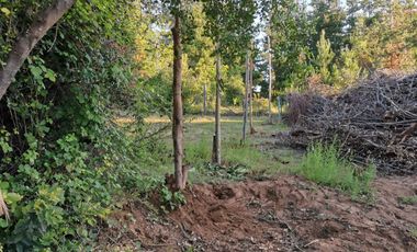EN VENTA, PARCELA DE  10000 MT2 LA PLACETA MOLINA MAULE