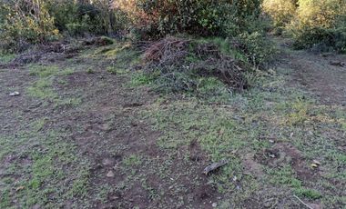 EN VENTA, PARCELA DE  10000 MT2 LA PLACETA MOLINA MAULE