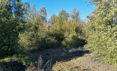 EN VENTA, PARCELA DE  10000 MT2 LA PLACETA MOLINA MAULE