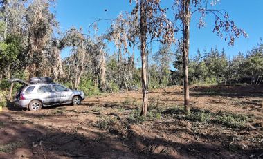 EN VENTA, PARCELA DE  10000 MT2 LA PLACETA MOLINA MAULE