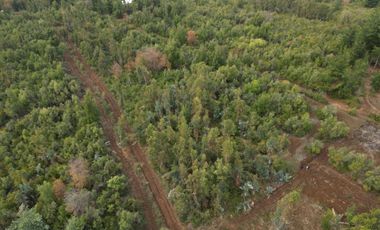 EN VENTA, PARCELA DE  10000 MT2 LA PLACETA MOLINA MAULE
