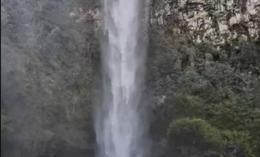 EN VENTA, PARCELA DE  10000 MT2 LA PLACETA MOLINA MAULE