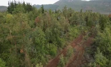 EN VENTA, PARCELA DE  10000 MT2 LA PLACETA MOLINA MAULE