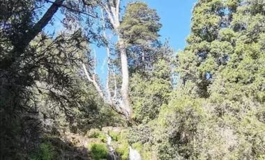 EN VENTA, PARCELA DE  10000 MT2 LA PLACETA MOLINA MAULE