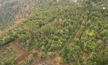 EN VENTA, PARCELA DE  10000 MT2 LA PLACETA MOLINA MAULE