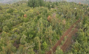 EN VENTA, PARCELA DE  10000 MT2 LA PLACETA MOLINA MAULE