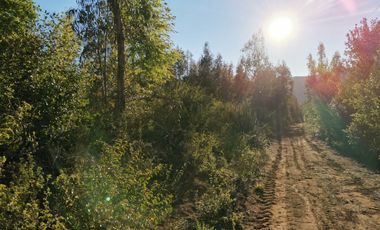 EN VENTA, PARCELA DE  10000 MT2 LA PLACETA MOLINA MAULE
