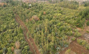 EN VENTA, PARCELA DE  10000 MT2 LA PLACETA MOLINA MAULE
