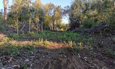 EN VENTA, PARCELA DE  10000 MT2 LA PLACETA MOLINA MAULE