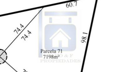VENTA PARCELA 7198 MTS2, PAREDONES