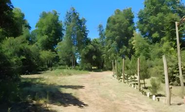 PARCELA EN VENTA 5000MT2 LOS TREILES, MAULE