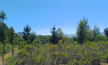 PARCELA EN VENTA 5000MT2 LOS TREILES, MAULE