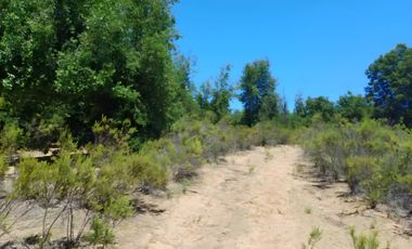 PARCELA EN VENTA 5000MT2 LOS TREILES, MAULE