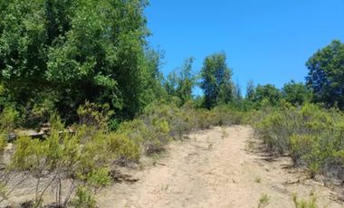 PARCELA EN VENTA 5000MT2 LOS TREILES, MAULE