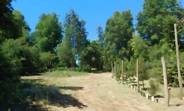 PARCELA EN VENTA 5000MT2 LOS TREILES, MAULE