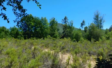 PARCELA EN VENTA 5000MT2 LOS TREILES, MAULE