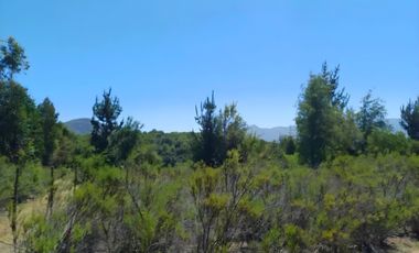PARCELA EN VENTA 5000MT2 LOS TREILES, MAULE