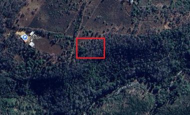 PARCELA EN VENTA 5000MT2 LOS TREILES, MAULE