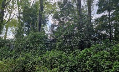 SE VENDE TERRENO RURAL RUTA CABRERO