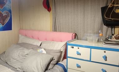 VENDO TERRENO  SAN VICENTE DE PAUL COMUNA MACUL