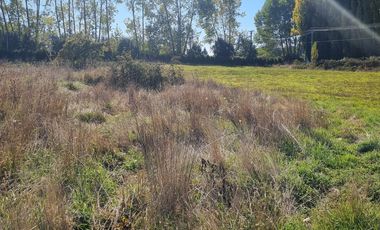 VENTA PARCELA 5000MTS Osorno