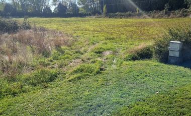 VENTA PARCELA 5000MTS Osorno