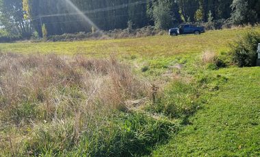 VENTA PARCELA 5000MTS Osorno
