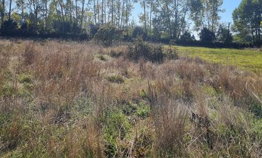 VENTA PARCELA 5000MTS Osorno
