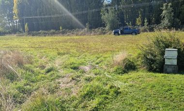 VENTA PARCELA 5000MTS Osorno