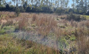 VENTA PARCELA 5000MTS Osorno