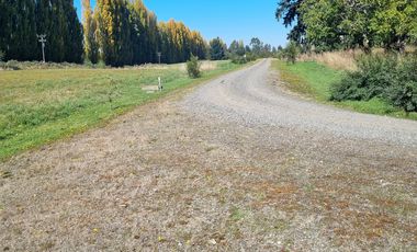 VENTA PARCELA 5000MTS Osorno