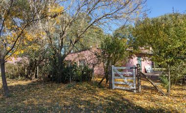 Venta de Chacra en Coronel Vidal