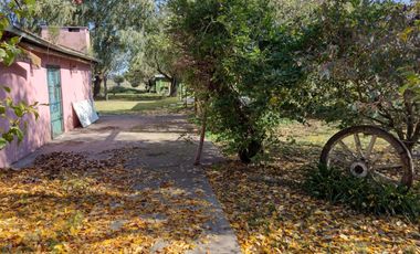 Venta de Chacra en Coronel Vidal