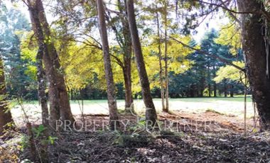 Terreno en venta con orilla al Estero Angachilla.