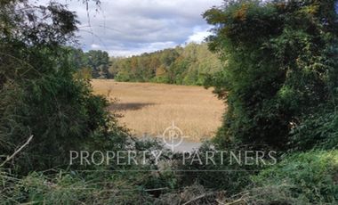 Terreno en venta con orilla al Estero Angachilla.