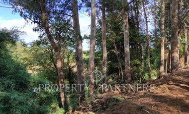 Terreno en venta con orilla al Estero Angachilla.