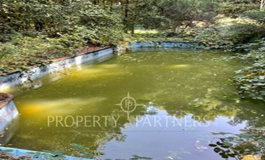 Terreno en Cabo Blanco