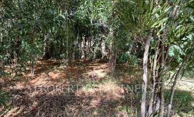 Terreno en Cabo Blanco